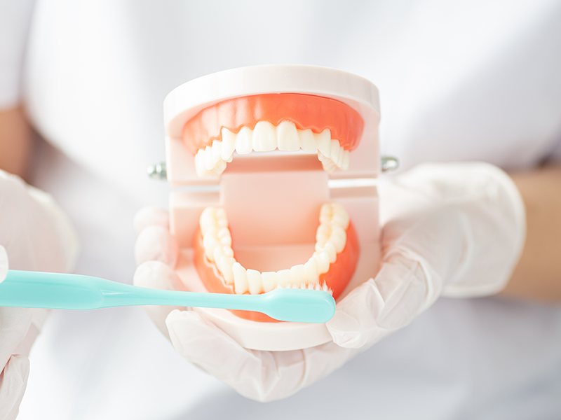 ブラッシング指導